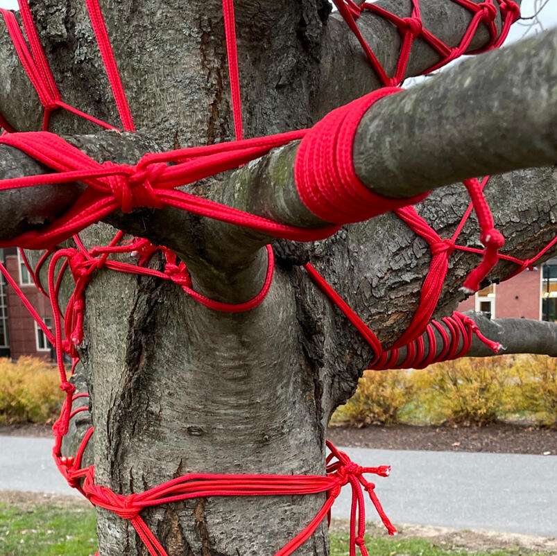 perversion 1: IN SECURITY