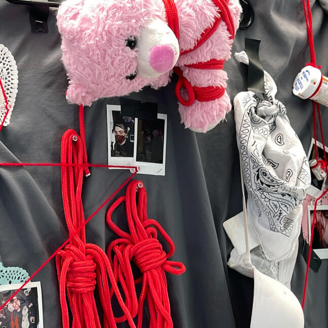 bedroom 1: exhibitionism